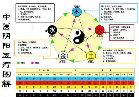 金為何生水|五行中為什麼是金生水？